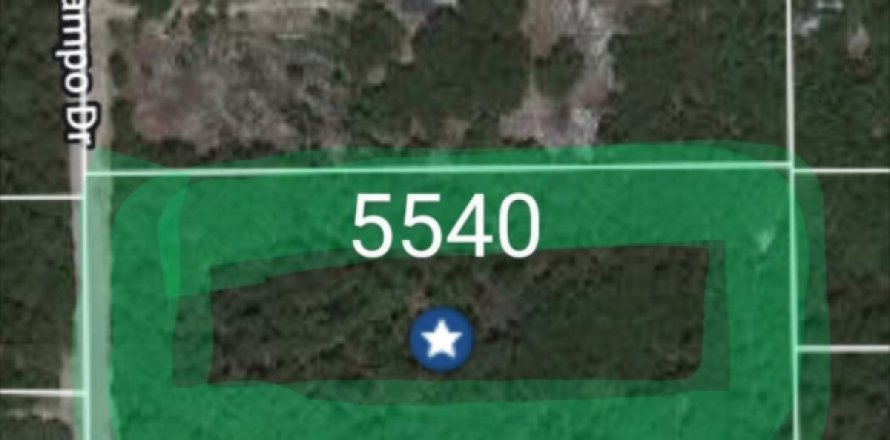 Land in Keystone Heights, Florida № 769346
