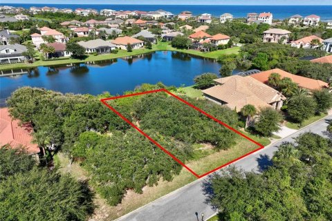 Terreno en venta en Palm Coast, Florida № 2103595 - foto 21