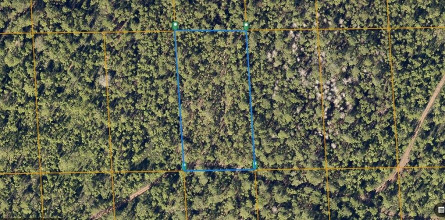 Land in DeLand, Florida № 1383154