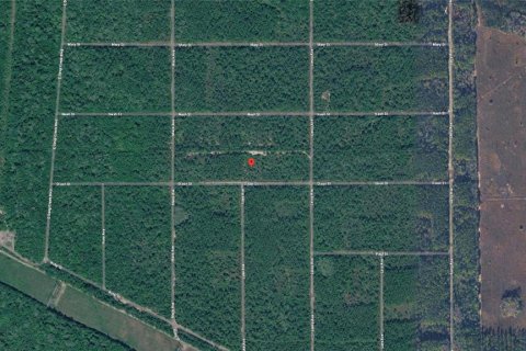 Land in Hastings, Florida № 2238787 - photo 4