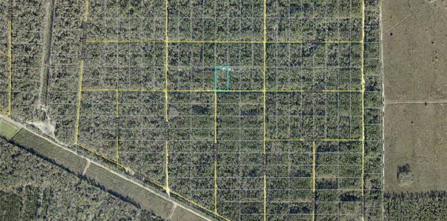 Land in Hastings, Florida № 2238787