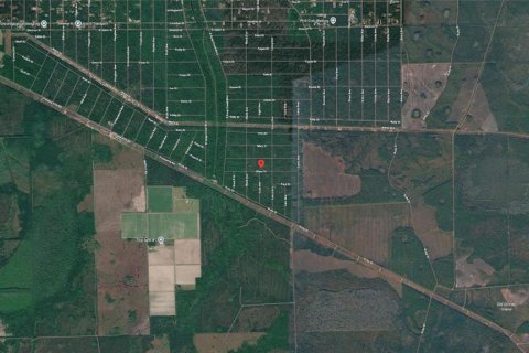Land in Hastings, Florida № 2238787 - photo 2