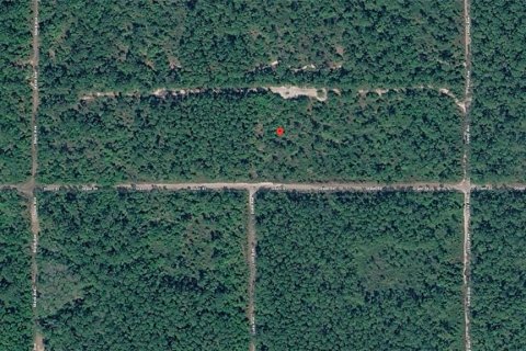 Land in Hastings, Florida № 2238787 - photo 3