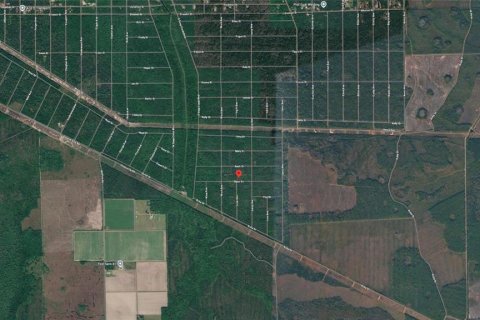 Land in Hastings, Florida № 2238787 - photo 6