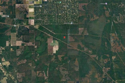 Land in Hastings, Florida № 2238787 - photo 5