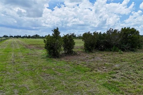 Land in Fort Meade, Florida № 2238771 - photo 20