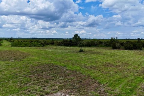 Land in Fort Meade, Florida № 2238771 - photo 19
