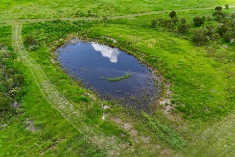 Land in Fort Meade, Florida № 2238771 - photo 12
