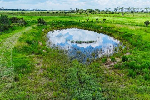 Land in Fort Meade, Florida № 2238771 - photo 11