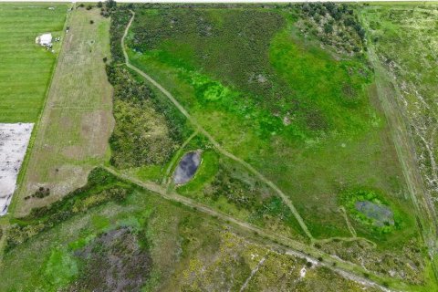 Land in Fort Meade, Florida № 2238771 - photo 10
