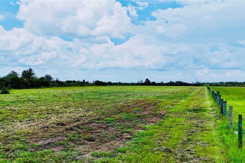 Land in Fort Meade, Florida № 2238771 - photo 8