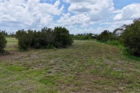 Land in Fort Meade, Florida № 2238771 - photo 18