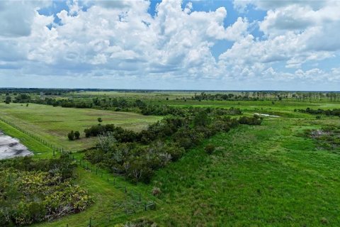 Land in Fort Meade, Florida № 2238771 - photo 15
