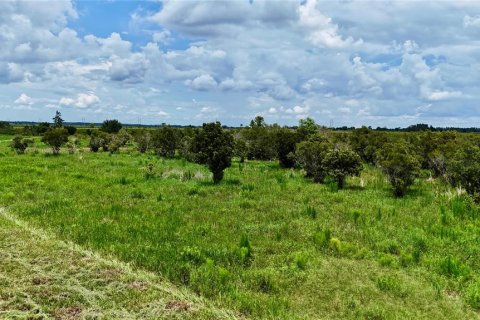 Land in Fort Meade, Florida № 2238771 - photo 23