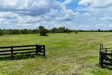 Land in Fort Meade, Florida № 2238771 - photo 7