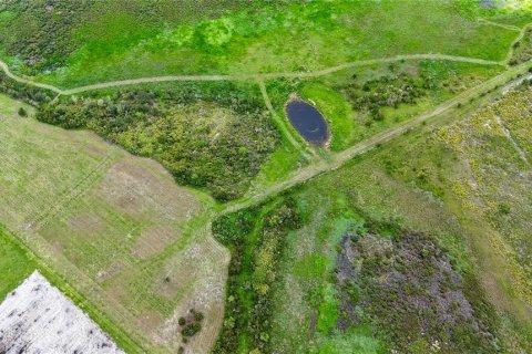 Land in Fort Meade, Florida № 2238771 - photo 9