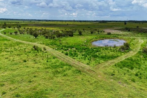Land in Fort Meade, Florida № 2238771 - photo 13