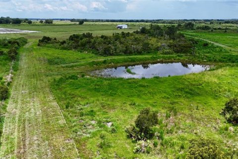 Land in Fort Meade, Florida № 2238771 - photo 14
