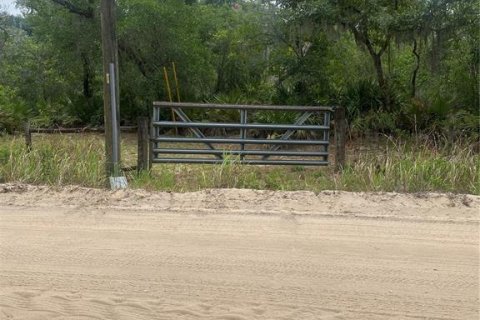 Terrain à Groveland, Floride № 2204352