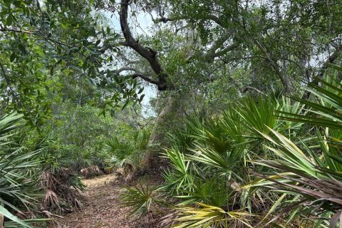 Terrain à vendre à Groveland, Floride № 2204352 - photo 9