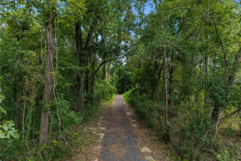 Land in Alachua, Florida № 2388090 - photo 10
