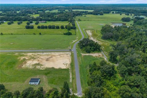 Land in Alachua, Florida № 2388090 - photo 3
