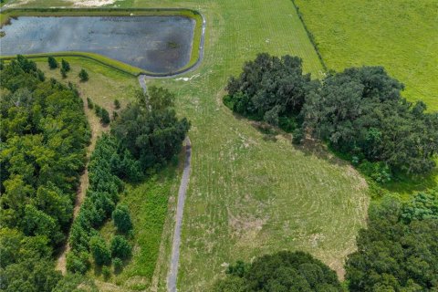 Land in Alachua, Florida № 2388090 - photo 7