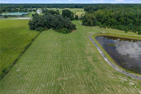 Land in Alachua, Florida № 2388090 - photo 6