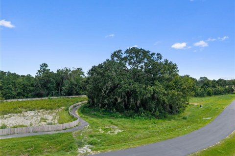 Land in Alachua, Florida № 2388090 - photo 4