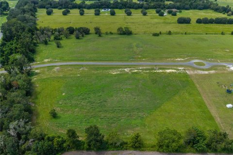 Land in Alachua, Florida № 2388090 - photo 9