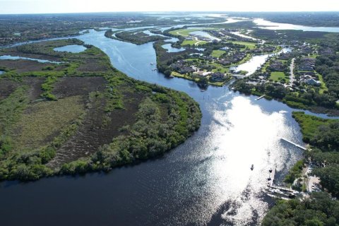 Terreno en venta en Parrish, Florida № 1284406 - foto 20