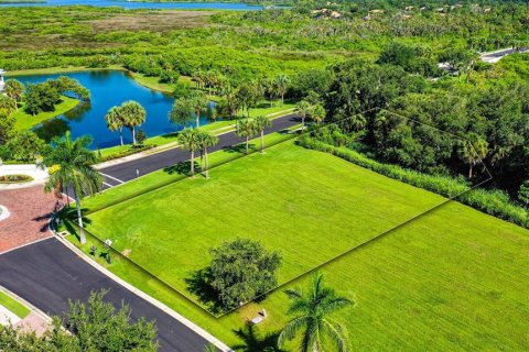 Terreno en venta en Parrish, Florida № 1284406 - foto 11