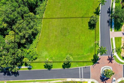 Terreno en venta en Parrish, Florida № 1284406 - foto 14