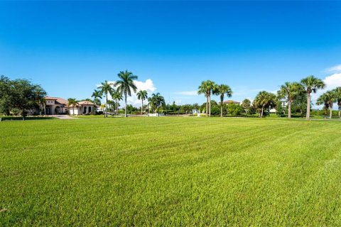 Terreno en venta en Parrish, Florida № 1284406 - foto 9