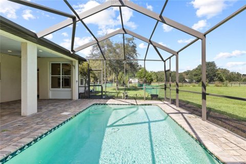 Villa ou maison à vendre à Land O' Lakes, Floride: 4 chambres, 223.62 m2 № 2416447 - photo 2