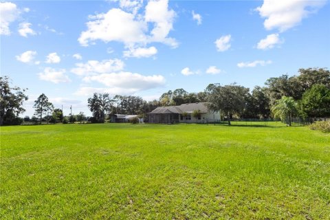 Villa ou maison à vendre à Land O' Lakes, Floride: 4 chambres, 223.62 m2 № 2416447 - photo 3