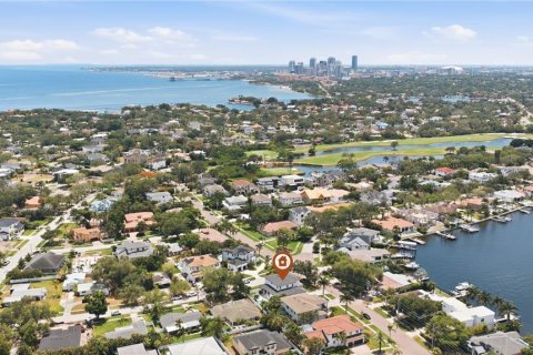 Casa en venta en Saint Petersburg, Florida, 5 dormitorios, 363.9 m2 № 2119343 - foto 10