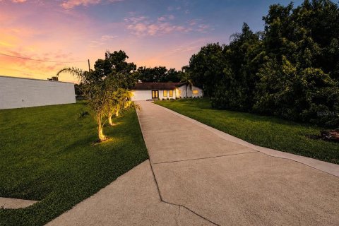 Villa ou maison à Lutz, Floride 8 chambres, 401.99 m2 № 2354293