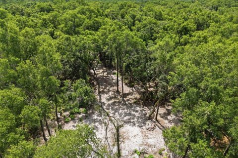 Terrain à vendre à Chiefland, Floride № 2147946 - photo 6