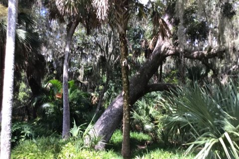 Land in Edgewater, Florida № 1876922 - photo 7