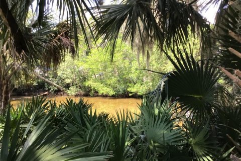 Land in Edgewater, Florida № 1876922 - photo 6