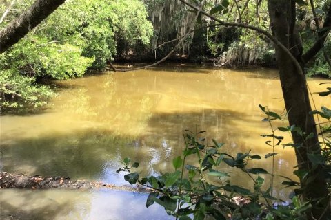 Land in Edgewater, Florida № 1876922 - photo 8