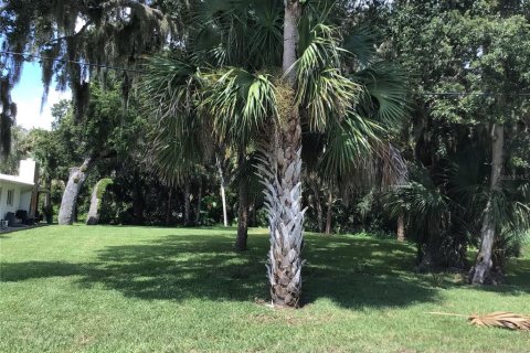 Land in Edgewater, Florida № 1876922 - photo 3