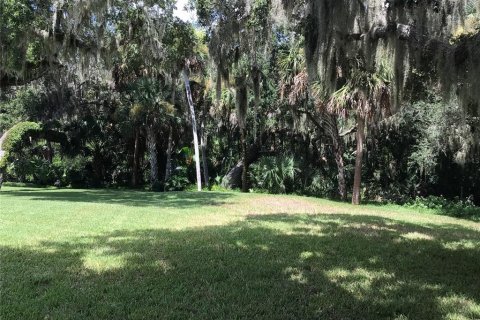 Land in Edgewater, Florida № 1876922 - photo 2