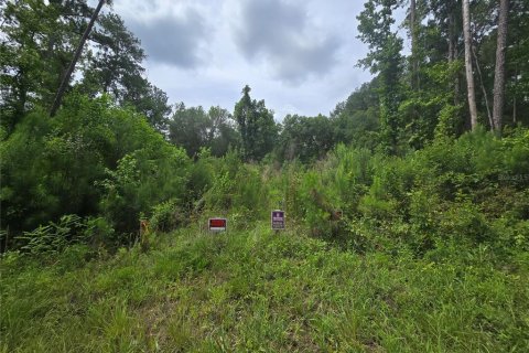 Terrain à Ocklawaha, Floride № 2204312