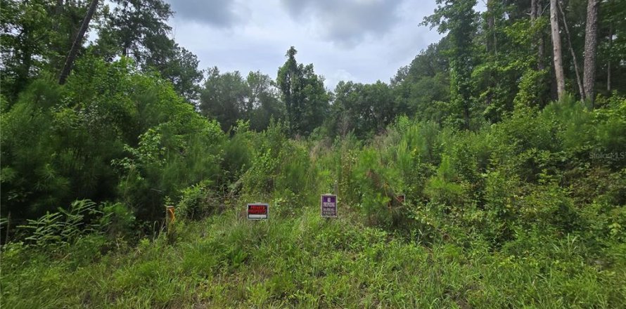Land in Ocklawaha, Florida № 2204312