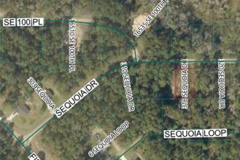 Land in Ocklawaha, Florida № 2204312 - photo 4