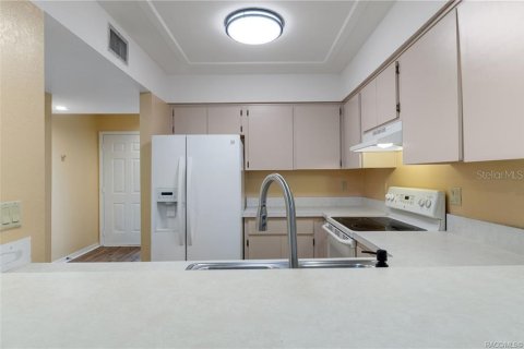 Touwnhouse à vendre à Inverness, Floride: 2 chambres, 114.27 m2 № 2225014 - photo 12