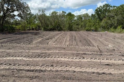Land in Avon Park, Florida № 2159047 - photo 4