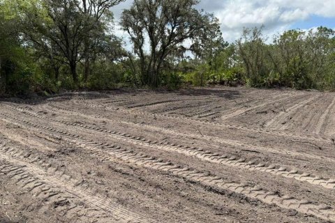 Land in Avon Park, Florida № 2159047 - photo 6